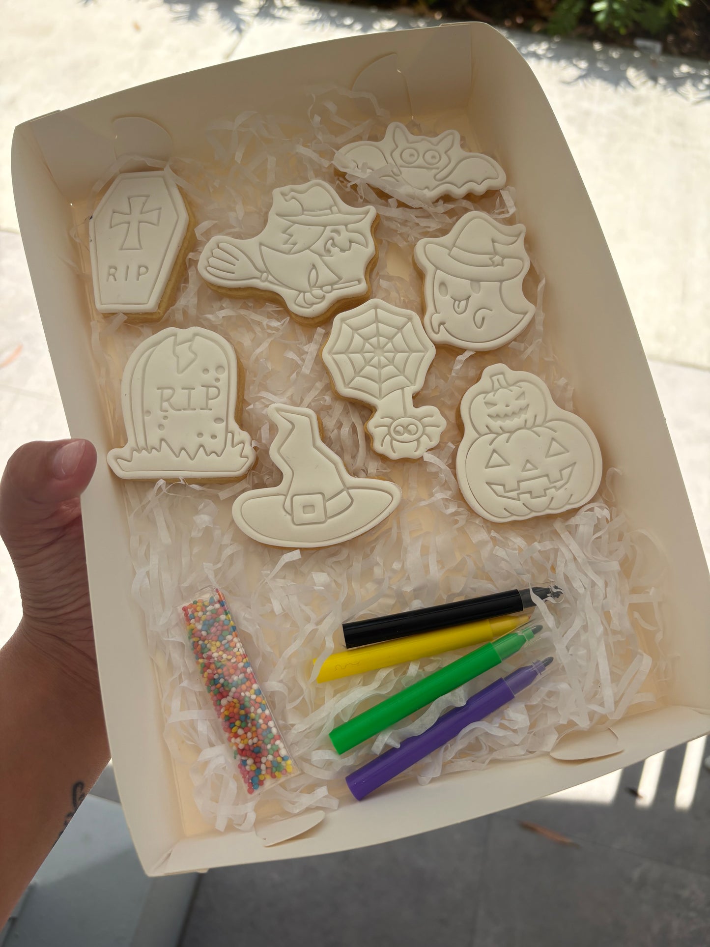 Halloween Cookies - DIY Paint Your Cookies
