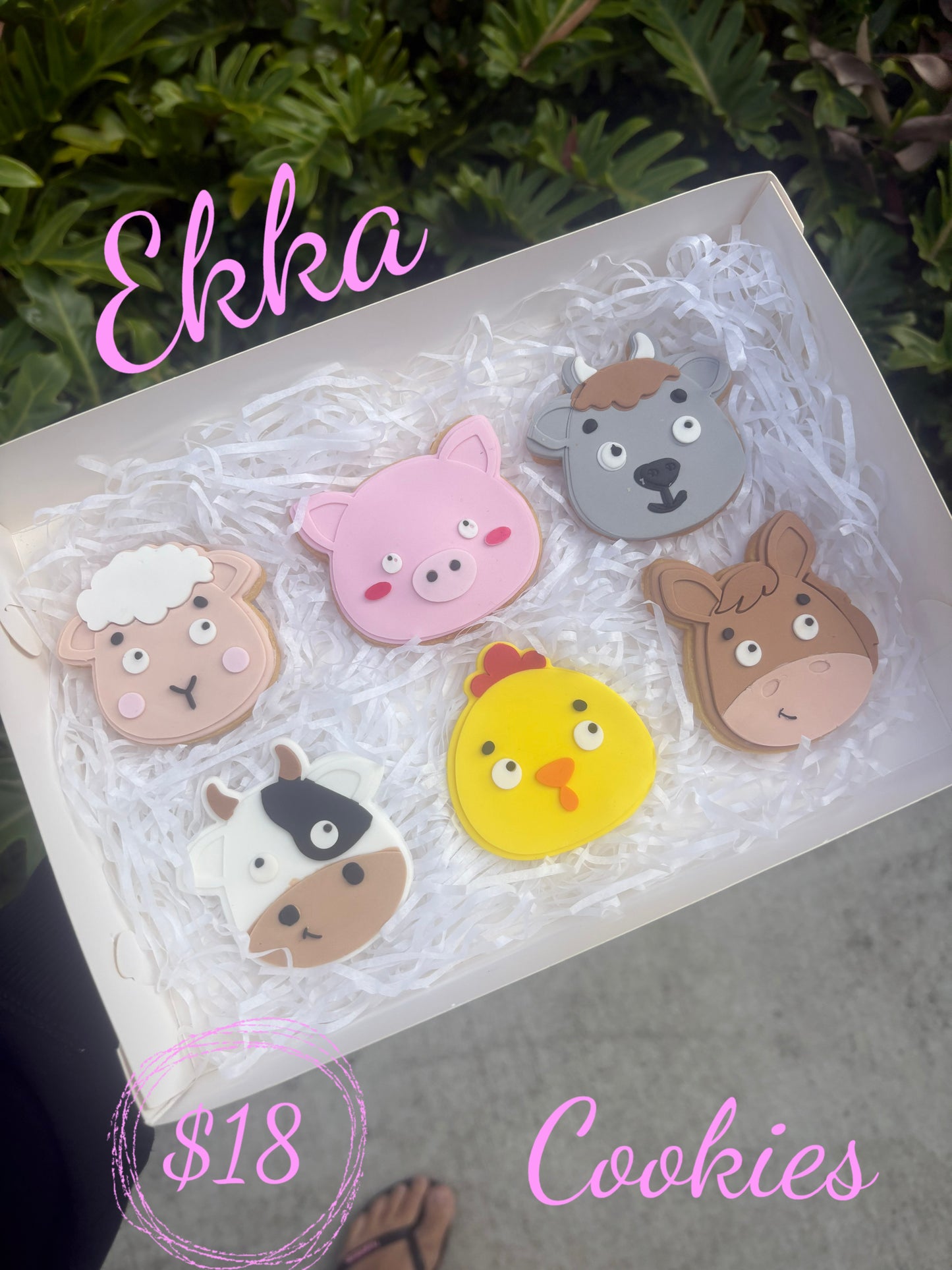 Ekka cookies