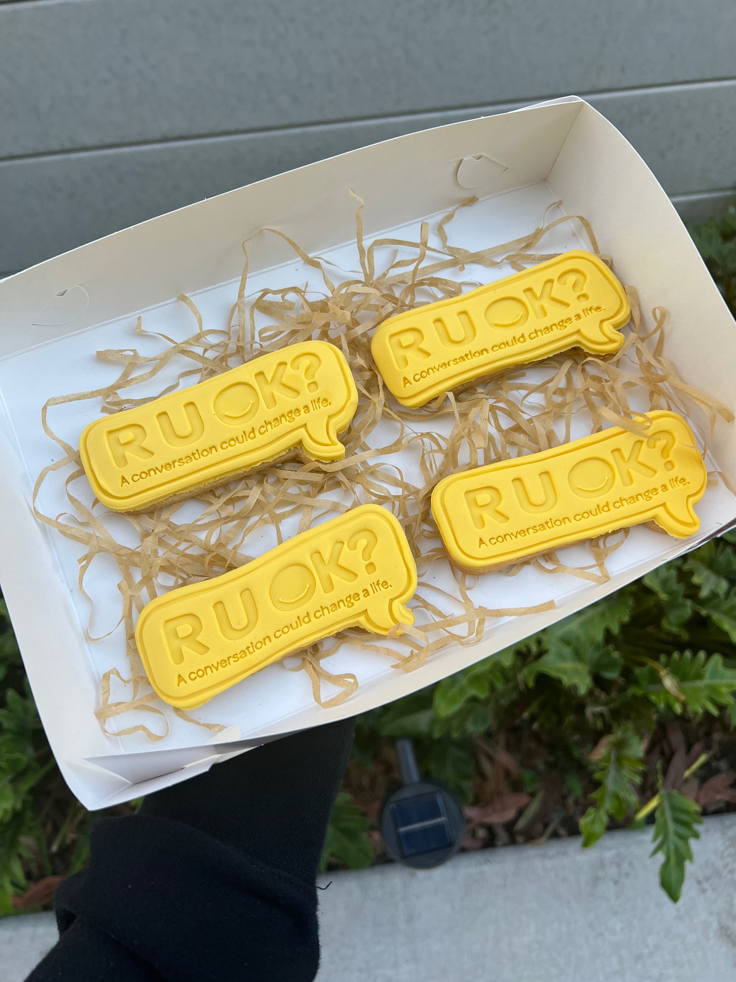 R U OK Day Cookie Box