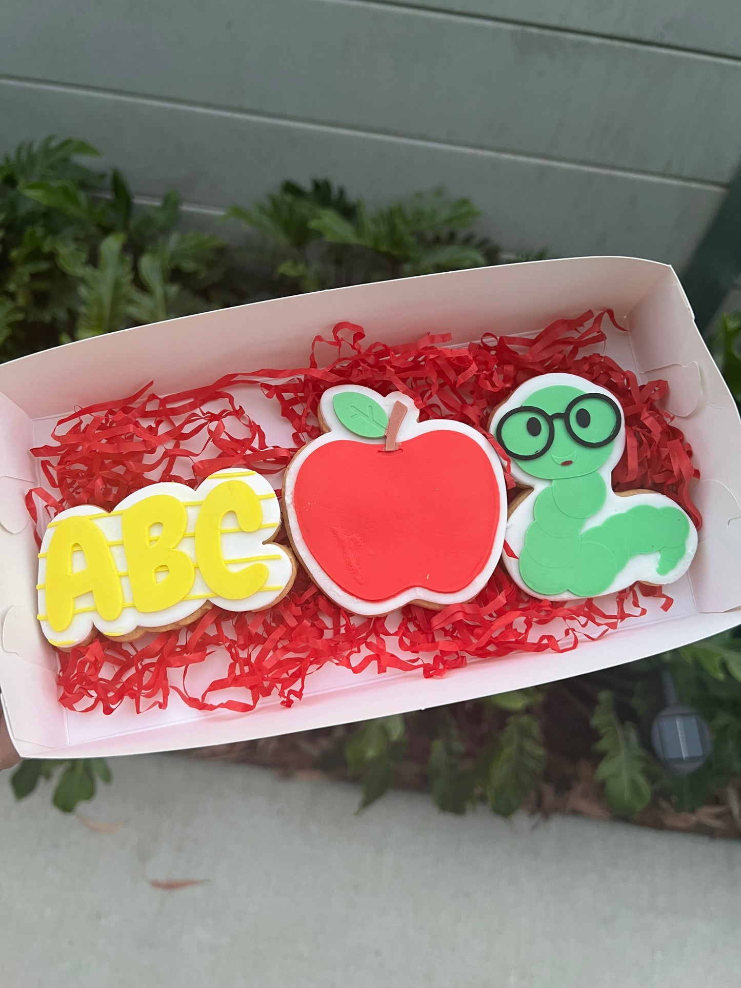 World Teachers Day Range
