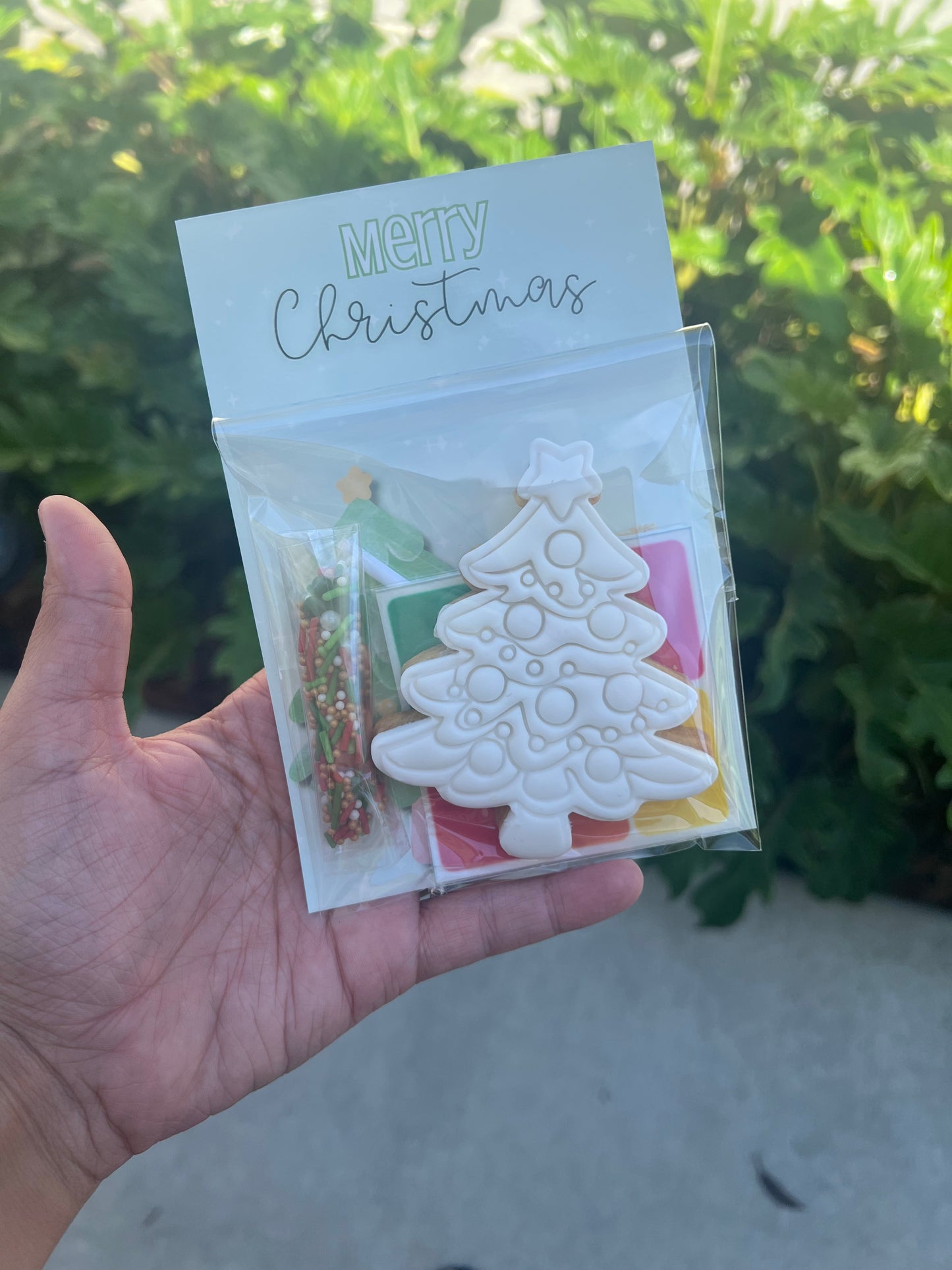 Christmas Cookie - 1 Pack Paint Your Own Cookie