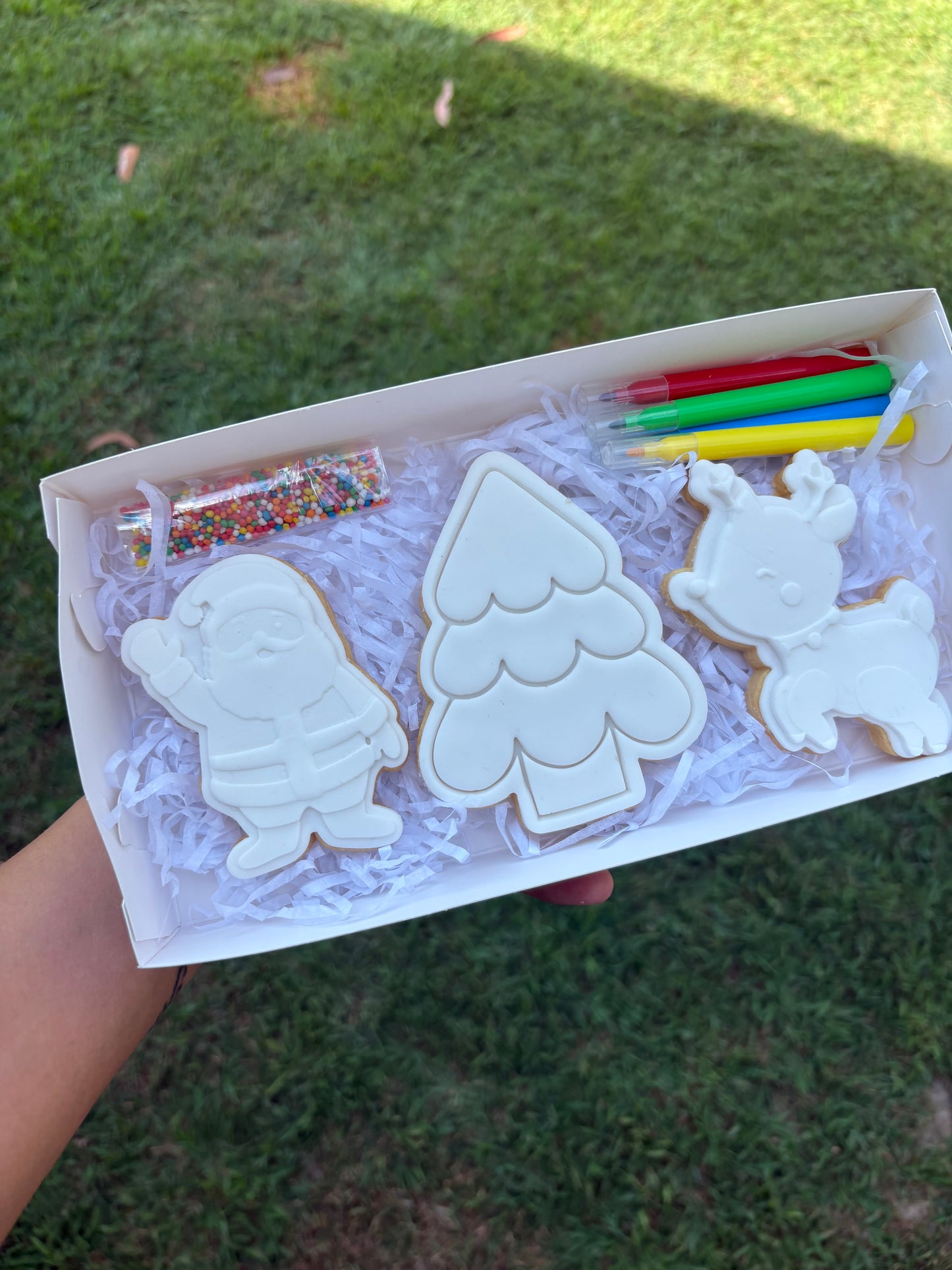 Christmas Cookie Box - Paint Your Cookies Sets