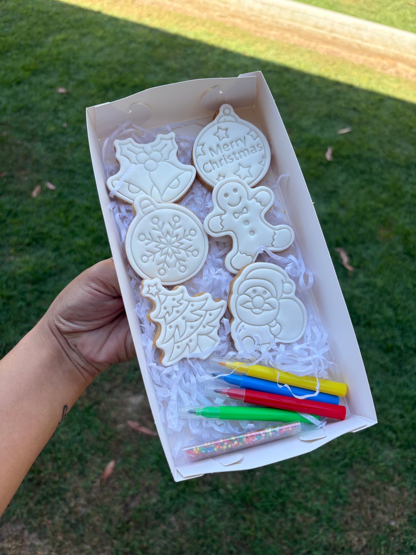 Christmas Cookie Box - Paint Your Cookies Sets