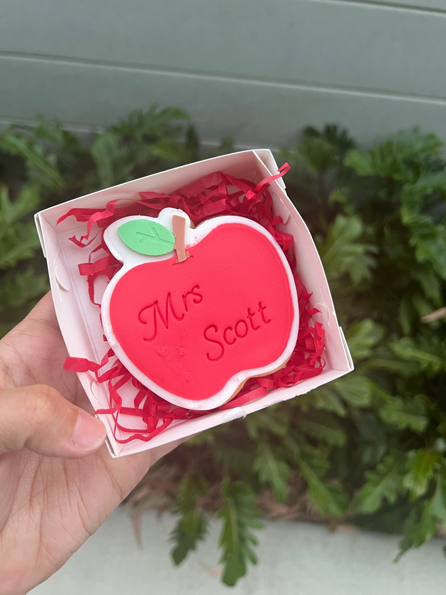 World Teachers Day Range