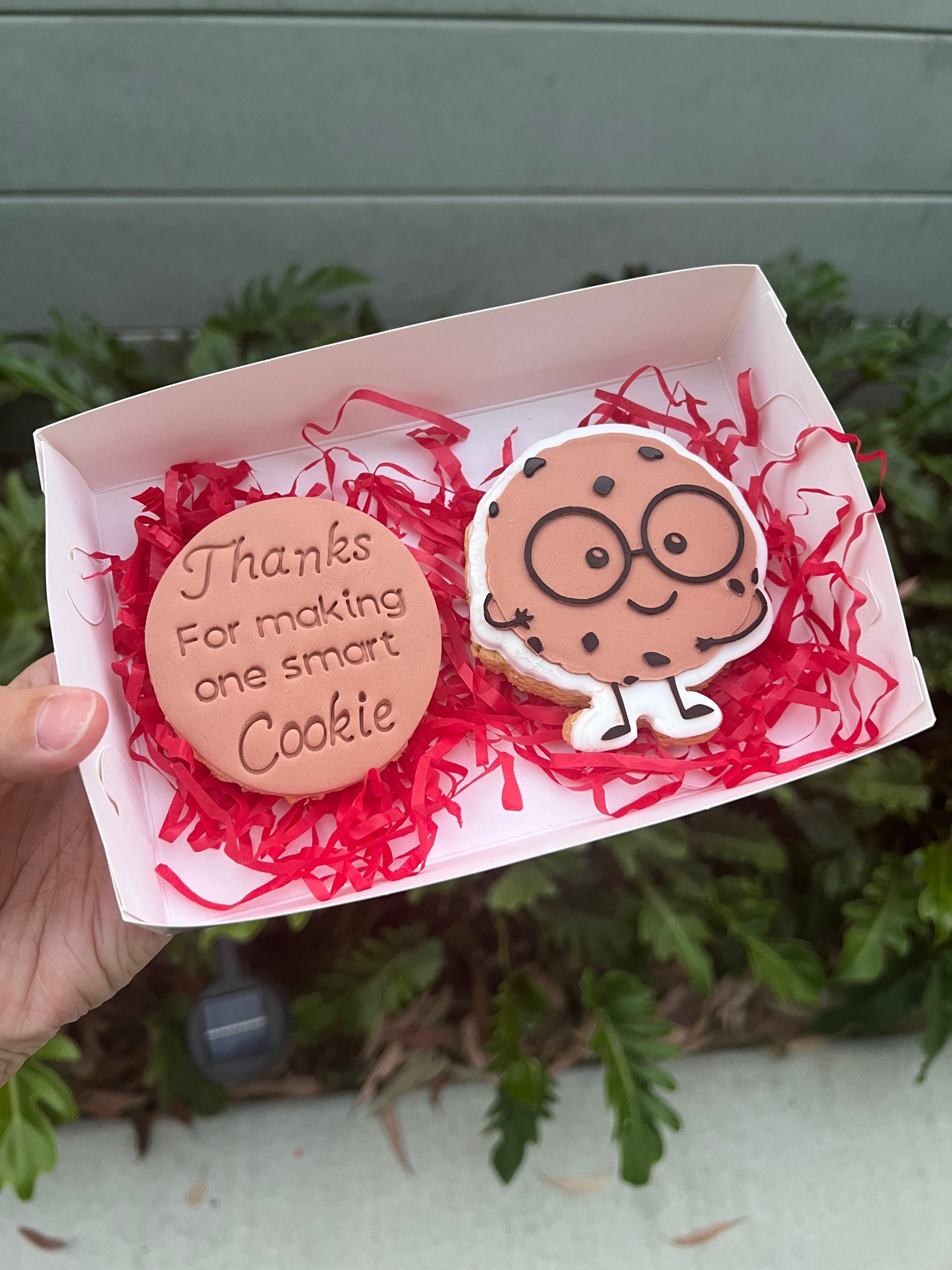 World Teachers Day Range