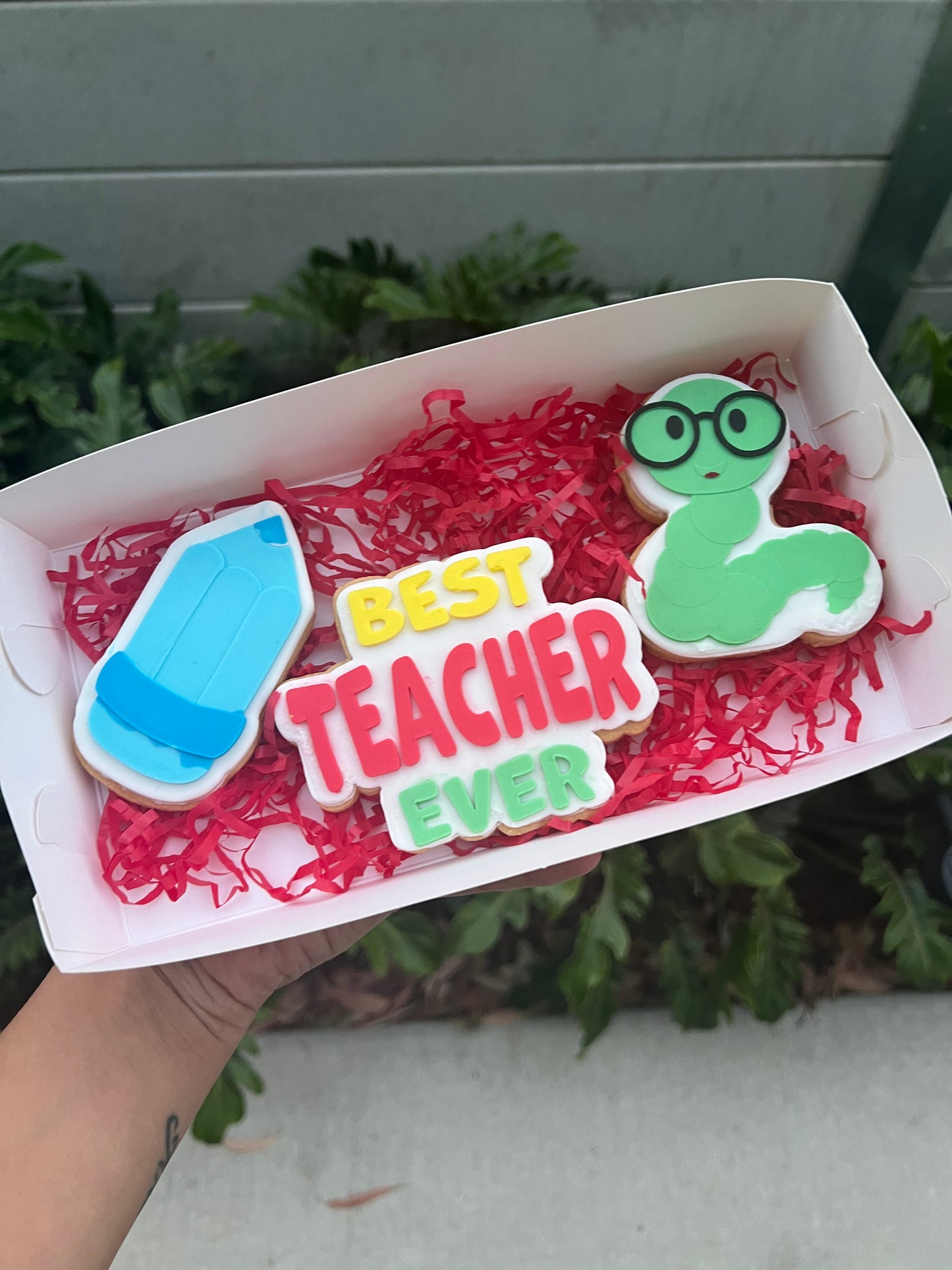 World Teachers Day Range
