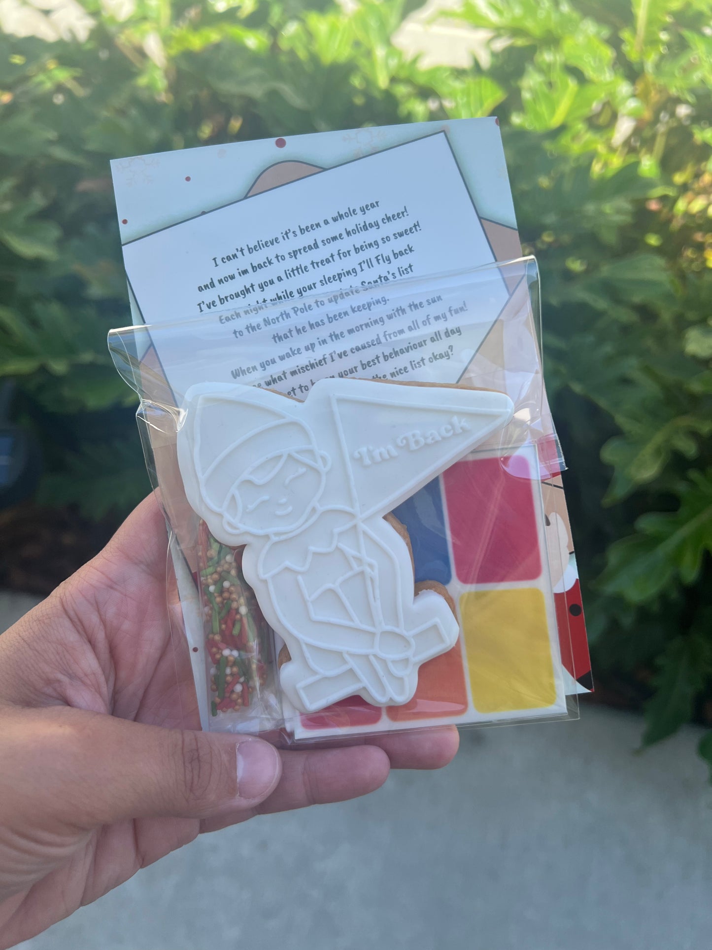 Christmas Cookie - 1 Pack Paint Your Own Cookie