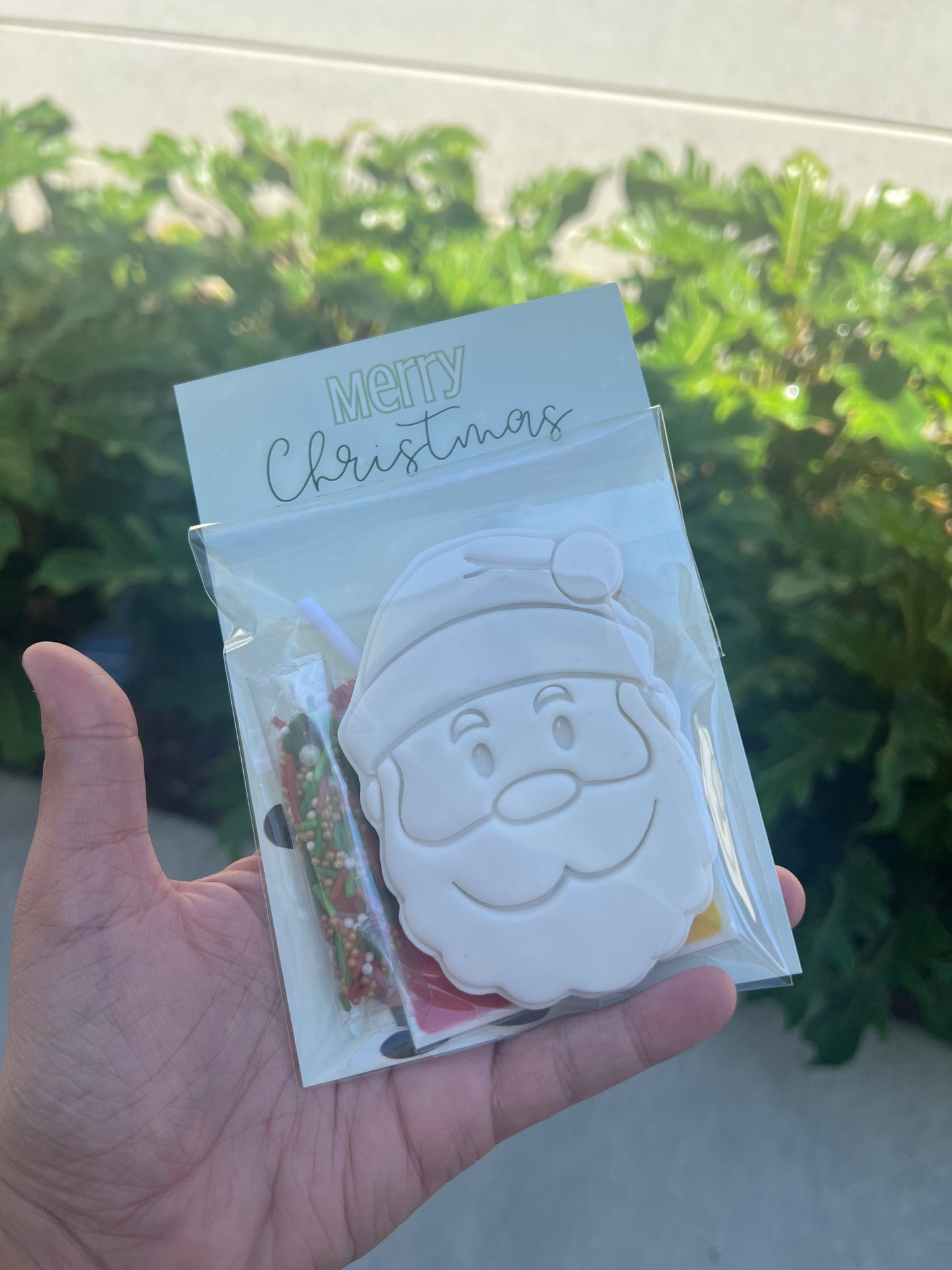 Christmas Cookie - 1 Pack Paint Your Own Cookie